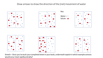 Osmosis lesson AQA GCSE Biology Cell biology | Teaching Resources