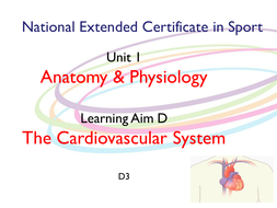 BTEC Level 3- National Extended Certificate in Sport: Unit 1 A&P