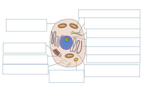 (NEW) BTEC L3 Applied science Unit 1 - Biology - Eukaryotic cells