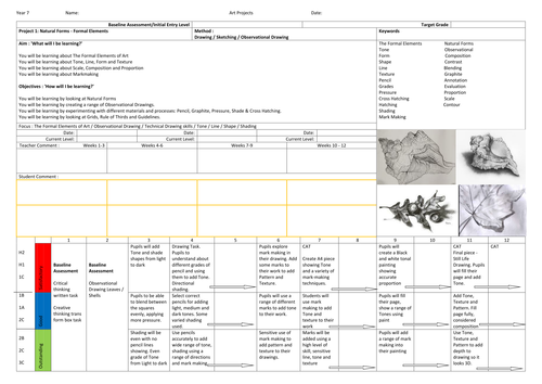 Year 7 Art SOW on Natural Forms