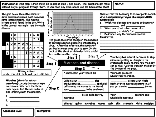 pptx, 77.32 KB