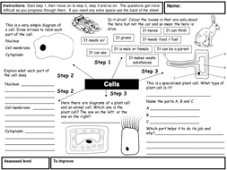 Cells homework ks3 image