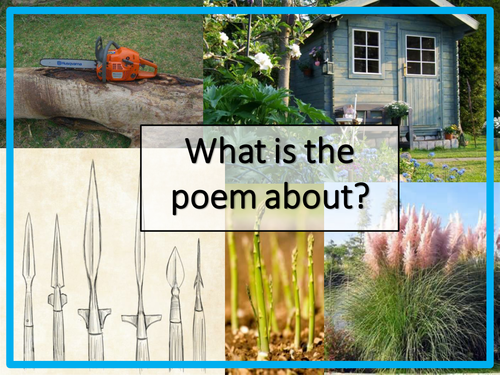 Poems of the Decade - 13 Poems | Teaching Resources