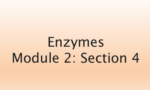 NEW SPEC OCR A AS BIOLOGY Enzymes