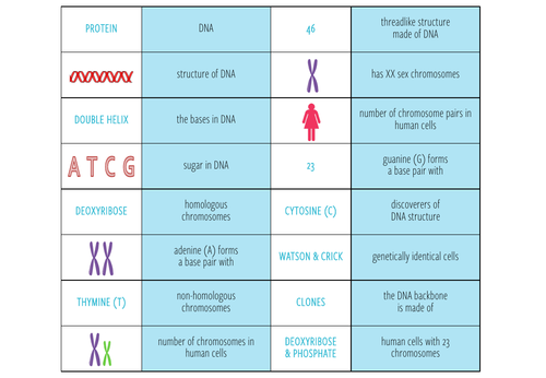 genetics-loop-game-ks3-4-teaching-resources