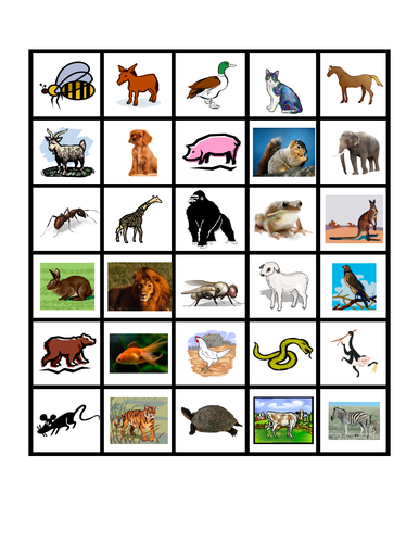 Animals Slap Game | Teaching Resources