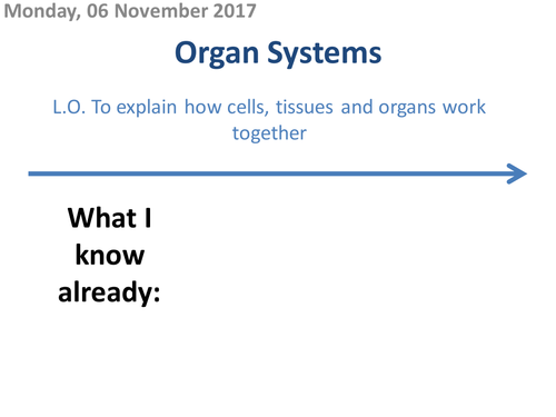 Organ Systems