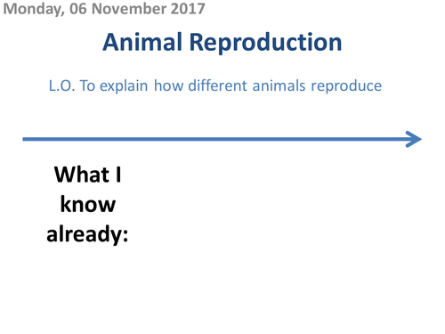 Animal Reproduction