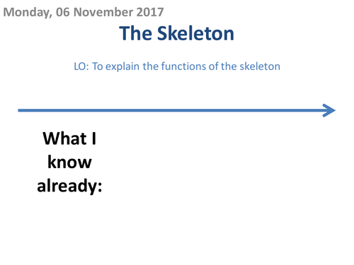 The Skeleton