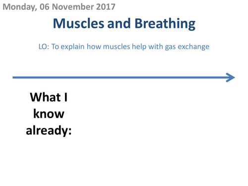 Muscles and Breathing