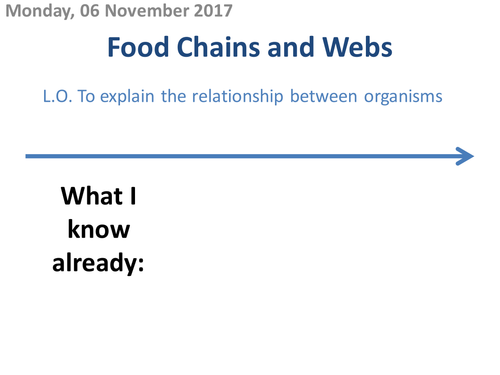 Food Chains and Webs