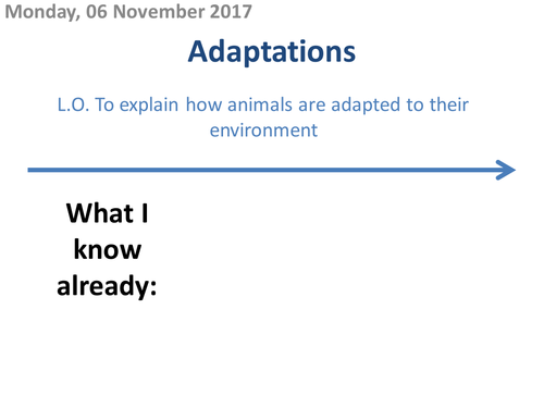 Adaptations