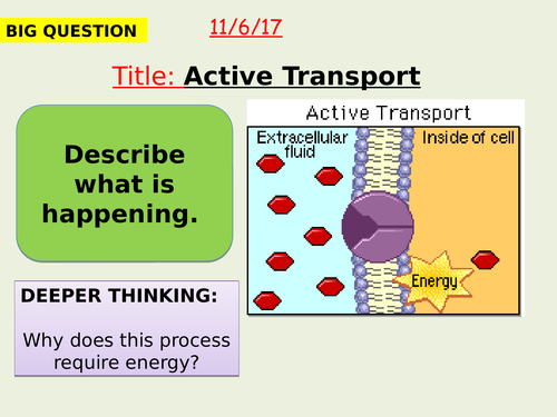 AQA new specification-Active transport-B1.9