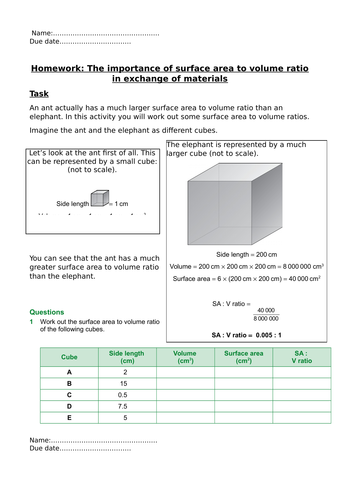 docx, 123.33 KB