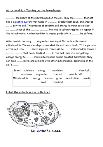 docx, 42.57 KB
