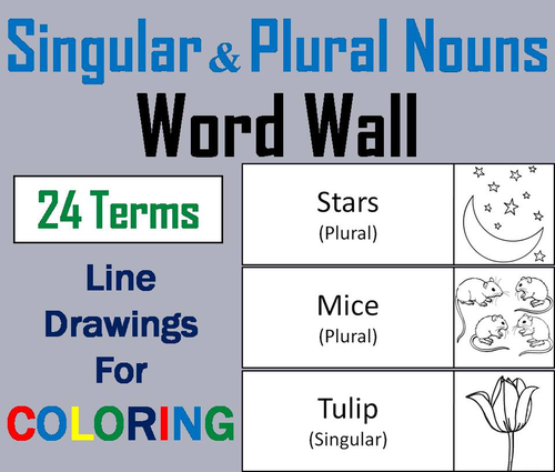 Singular and plural nouns word wall cards teaching resources
