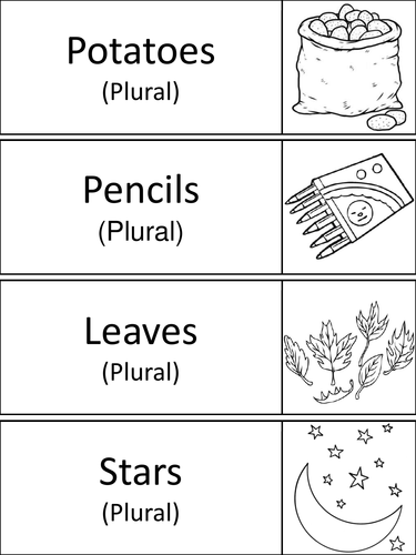 Singular and Plural Nouns Word Wall Cards | Teaching Resources