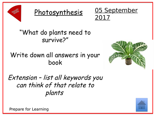 KS3 Photosynthesis and Respiration | Teaching Resources