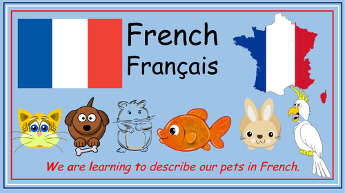 french-lesson-and-resources-pet-descriptions-teaching-resources