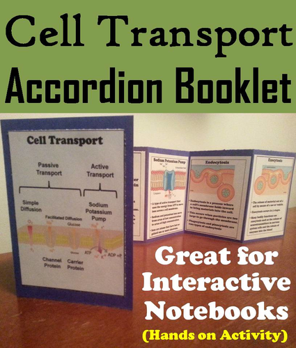 Passive and Active Cell Transport Interactive Notebook