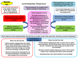 controlling versatile effective gcse temperature active revision activity card body