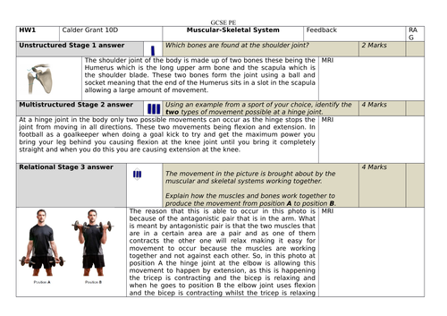 AQA GCSE PE (9-1): Chapter 1a Applied Anatomy and Physiology - Lesson 3