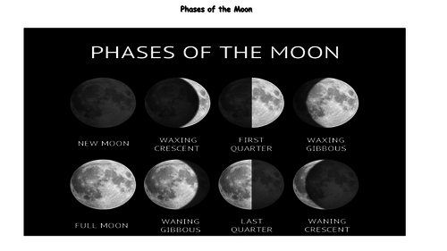 Phases of the Moon - Homework Activity | Teaching Resources