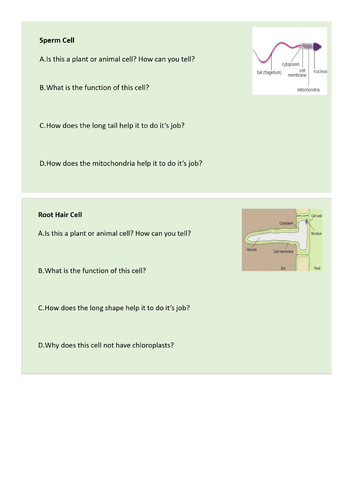 GCSE Biology AQA B1 Cells topic Revision Lesson | Teaching Resources