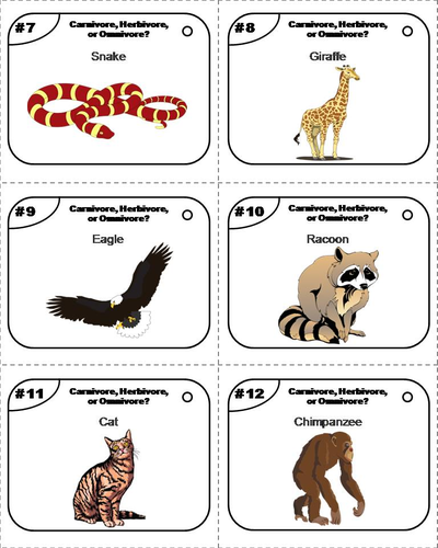 Carnivores, Herbivores, Omnivores Task Cards | Teaching Resources