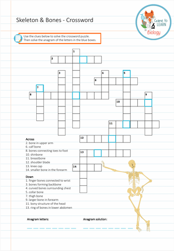 Skeleton and Bones Crossword (KS2/KS3) Teaching Resources