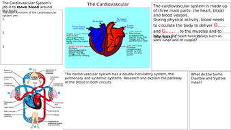 AQA GCSE PE 2016 GRADES 9-1 cardiovascular system | Teaching Resources