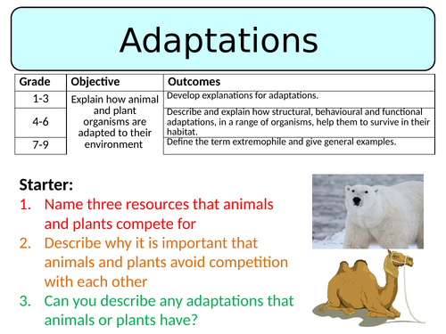 NEW AQA GCSE Trilogy (2016) Biology – Adaptations | Teaching Resources