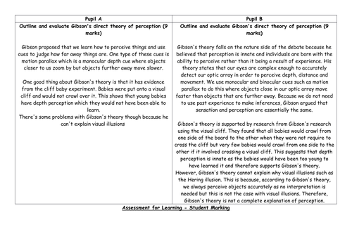 Gibson's theory of perception AFL essay response