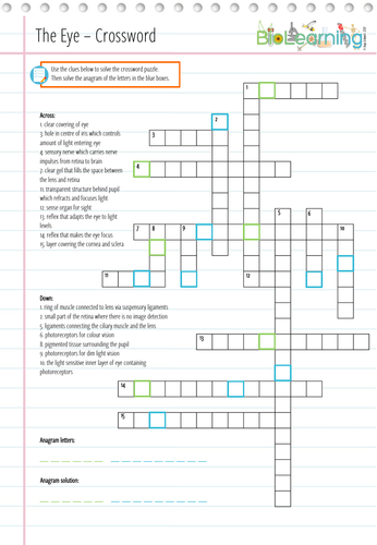 The Eye Crossword (KS3/4) Teaching Resources