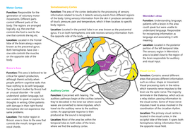 Localisation of Functions (A2 Psychology) | Teaching Resources