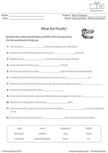 earth-science-fossils-worksheet
