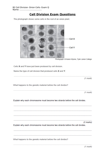 Practice Exam Questions For The Aqa 9 1 Gcse Science Trilogy Unit B2 9968