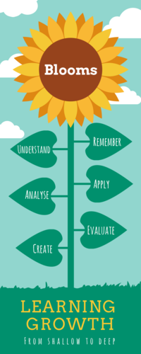 Fantastic Blooms Taxonomy Questioning Display for Staff rooms and Classrooms