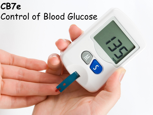 Edexcel CB7e Control of Blood Glucose