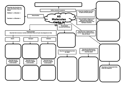 AS Biology Biological Molecules Revision Mats