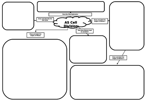 AS Biology Cell Division Revision Mat