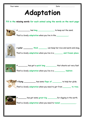 Adaptation Activity (2-page booklet)