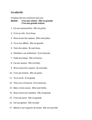 adjectifs-french-adjectives-position-before-the-noun-worksheet-teaching-resources