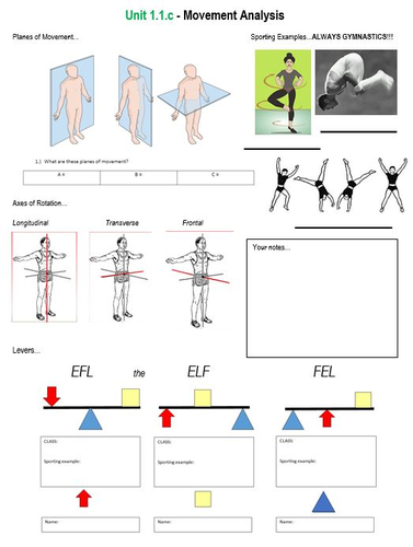GCSE (9-1) Physical Education Revision Guide - OCR Exam Board ...