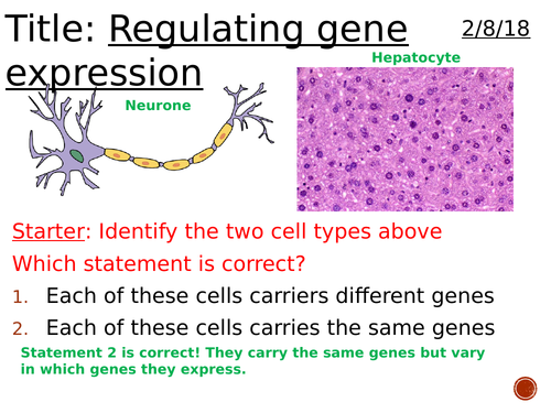 Gene expression (lac operon) - Complete lesson (A2) | Teaching Resources