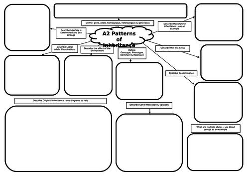 A2 Biology Revision Mats Bundle | Teaching Resources