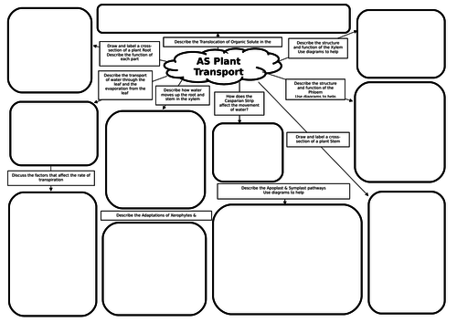 AS Biology Plant Transport Mind Map/Revision Mat
