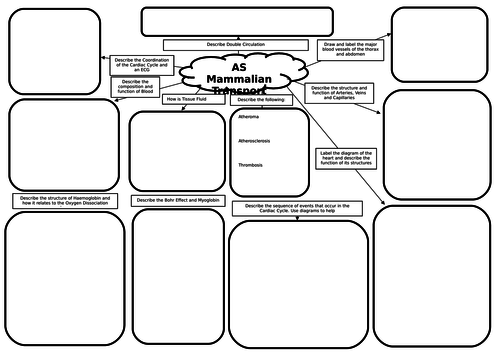 AS Biology Mammalian Transport Mind Map/Revision Mat