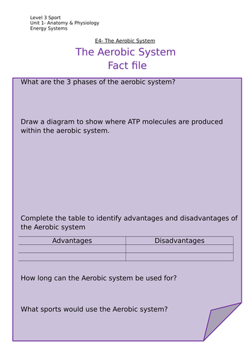 docx, 24.84 KB