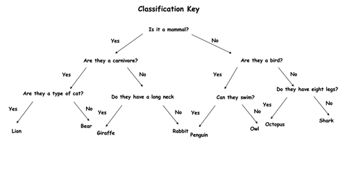 Year 6 Classification (4 fully resourced lessons) | Teaching Resources